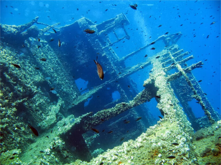 Il Relitto di Pomonte | Isola d'Elba
