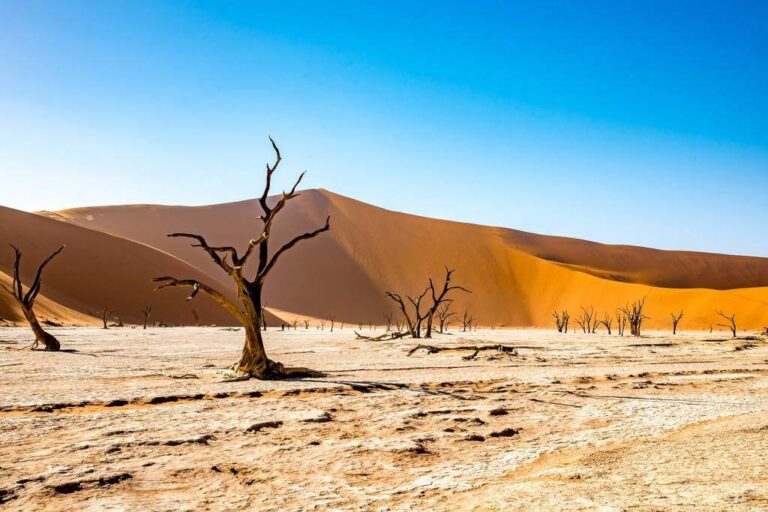 La Deadvlei in Namibia