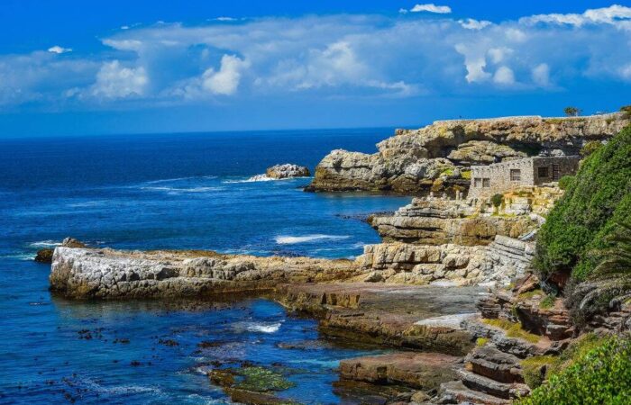 Hermanus