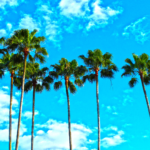 florida 1
